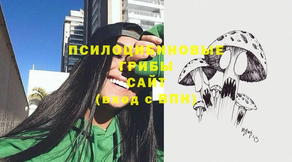 СК Балахна